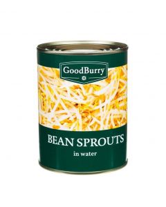 GOODBURRY BEAN SPROUTS - 510GR